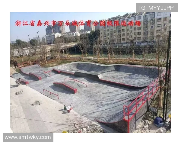 深圳极限运动队意识表现的数据分析与研究探讨 深圳极限运动队意识表现的数据分析与研究探讨