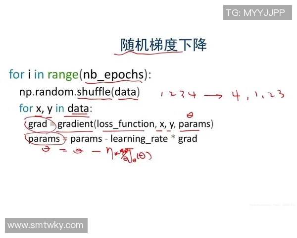 深圳篮球队运营分析:成功经验与面临挑战的深度探讨 深圳篮球队运营分析:成功经验与面临挑战的深度探讨